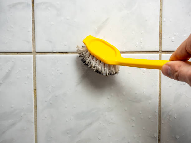 Best Residential Mold Removal  in Roseto, PA