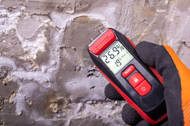 Roseto, PA Mold Removal Company