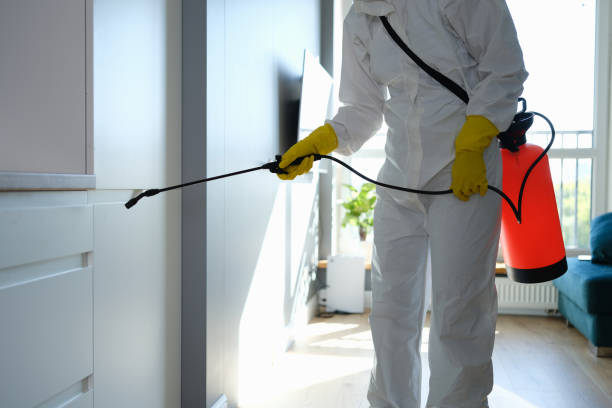Best Toxic Mold Removal  in Roseto, PA