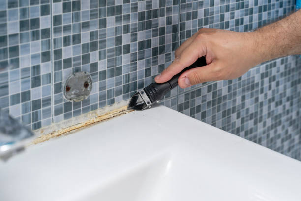 Best Attic Mold Removal  in Roseto, PA