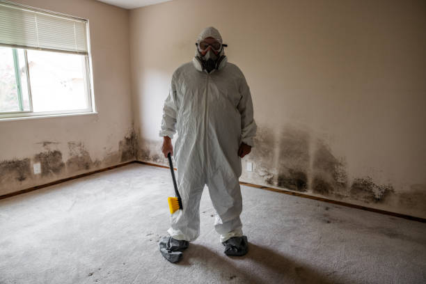 Crawl Space Mold Removal in Roseto, PA